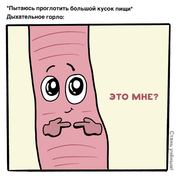    ,  , , 