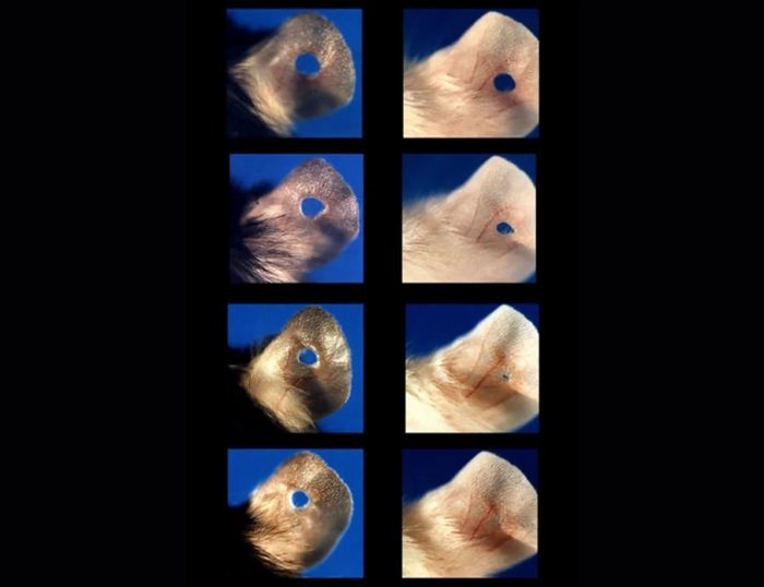  :        , ,  ,  , 