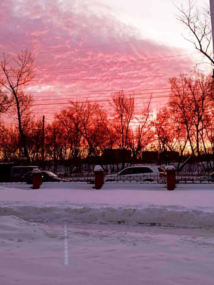 �������. ���� �� ����. ����� �������