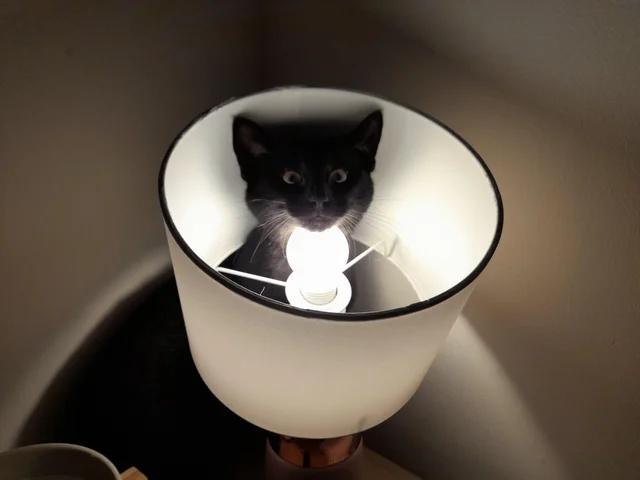 Котолампа что это значит. Смотреть фото Котолампа что это значит. Смотреть картинку Котолампа что это значит. Картинка про Котолампа что это значит. Фото Котолампа что это значит