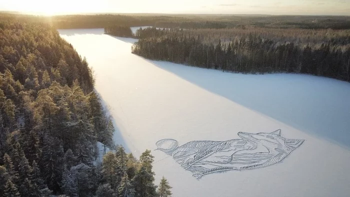 Finnish architect Pasi Widgren paints animals every year on the snow-covered ice of Lake Ritkajarvi - Drawing in the snow, Snow, Drawing, Wolf, Longpost