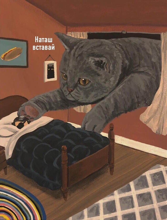 ,   , , ,   , 