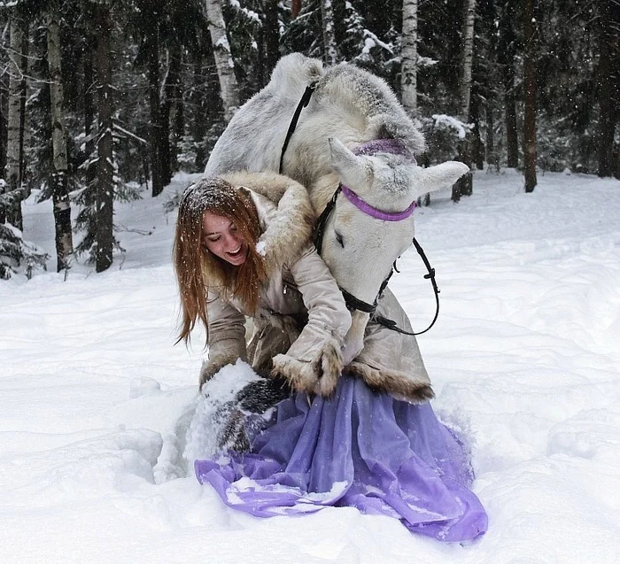 Winter's tale - My, Horses, PHOTOSESSION, Winter, Longpost