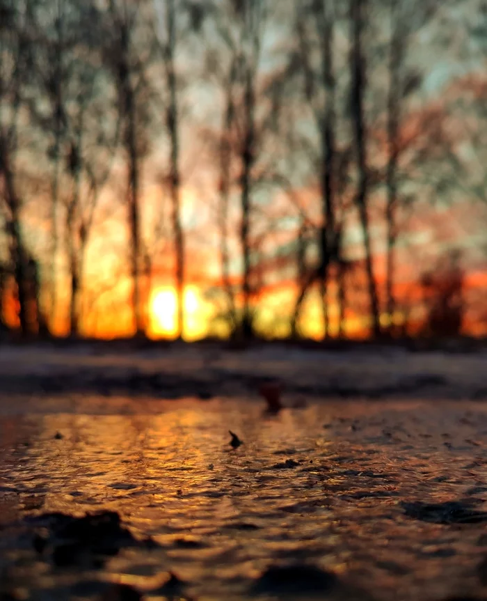 Winter evening - My, The photo, Sunset, Landscape