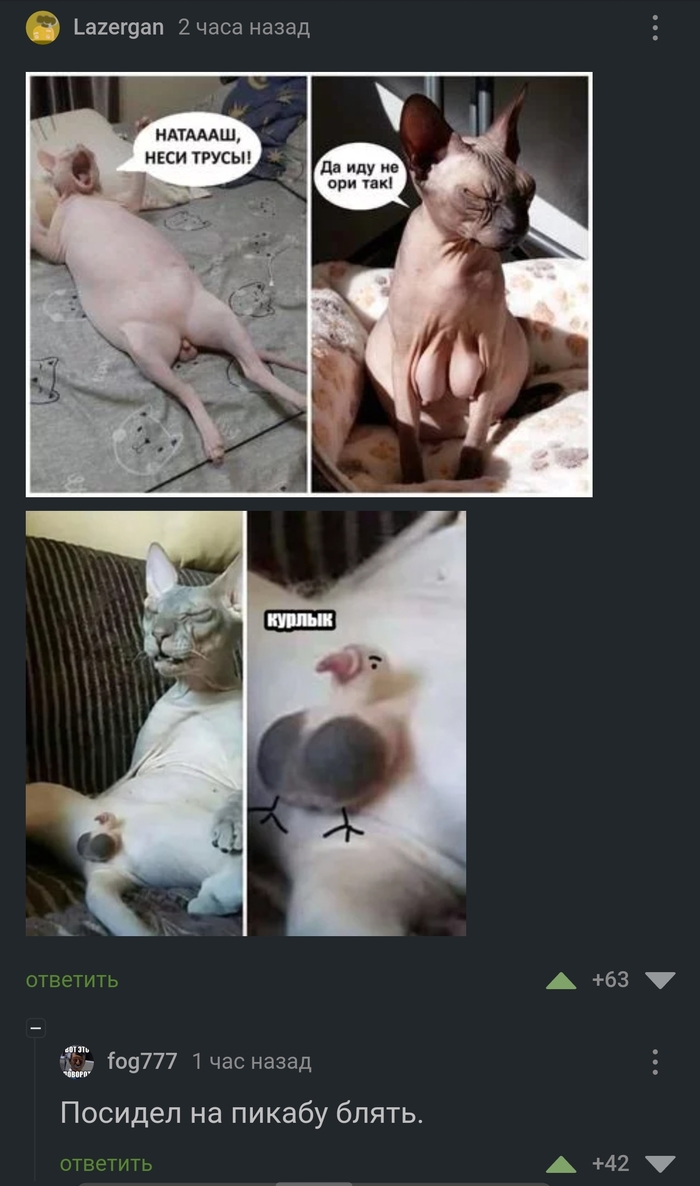 - =) ,   , ,  