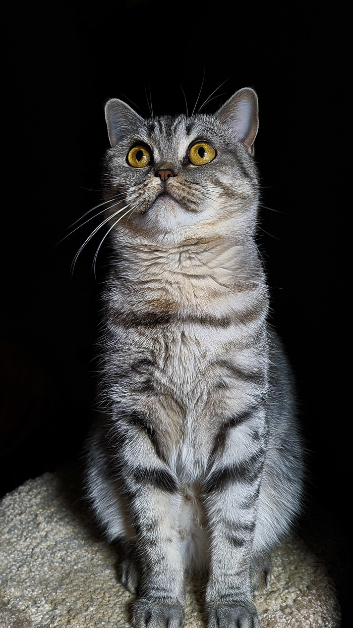 ������ ����� �� ��������