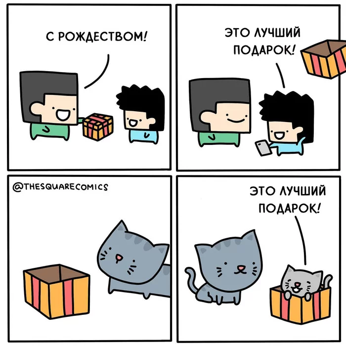 Подарок - Thesquarecomics, Комиксы, Коробка, Кот