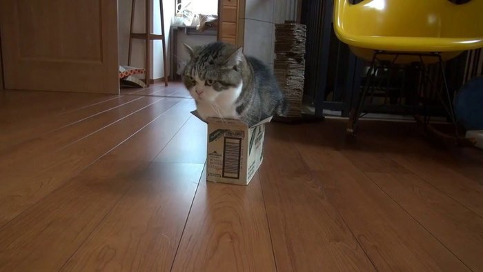      -, ,  , 