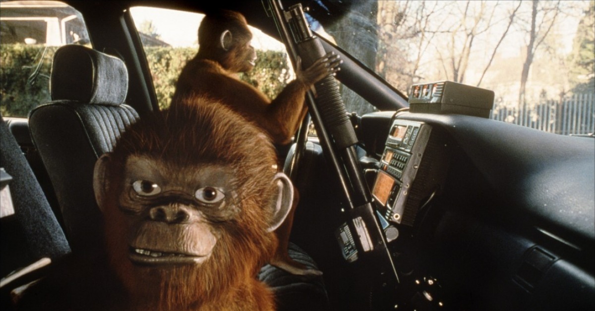 Monkey machine. Джуманджи 1995 обезьяны. Джуманджи 1995 мальчик мартышка. Обезьяна за рулем. Обезьяна в машине.