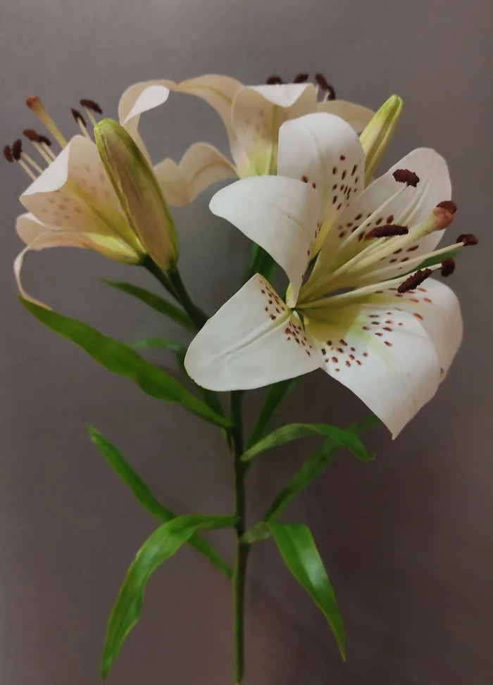 New inspiration - lily and hydrangea - My, Cold porcelain, Hobby, Longpost