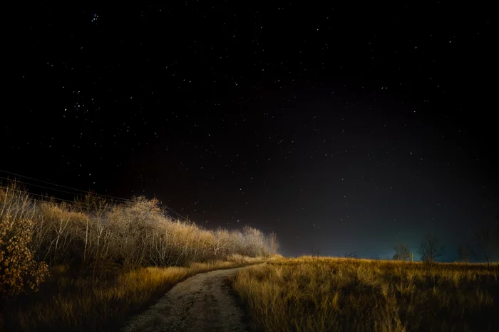 Night road in the field - My, Night, Field, Stars, Road, The photo