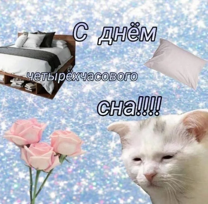 I say hello to everyone who has not slept! - Postcard, Congratulation, Fatigue, Dream, cat