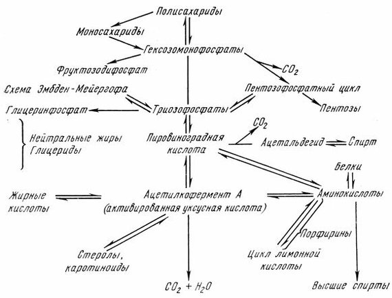 Для чего нужен потстилл. Смотреть фото Для чего нужен потстилл. Смотреть картинку Для чего нужен потстилл. Картинка про Для чего нужен потстилл. Фото Для чего нужен потстилл
