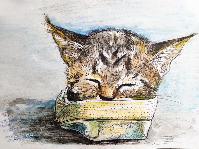 Как рисовать чайные пакетики. Смотреть фото Как рисовать чайные пакетики. Смотреть картинку Как рисовать чайные пакетики. Картинка про Как рисовать чайные пакетики. Фото Как рисовать чайные пакетики Как рисовать чайные пакетики. Смотреть фото Как рисовать чайные пакетики. Смотреть картинку Как рисовать чайные пакетики. Картинка про Как рисовать чайные пакетики. Фото Как рисовать чайные пакетики