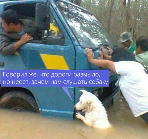 1639082735136386511.webp