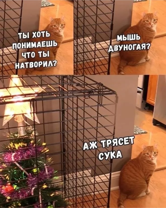 New Years is soon - New Year, cat, Christmas tree, Cell, Repeat, Pets