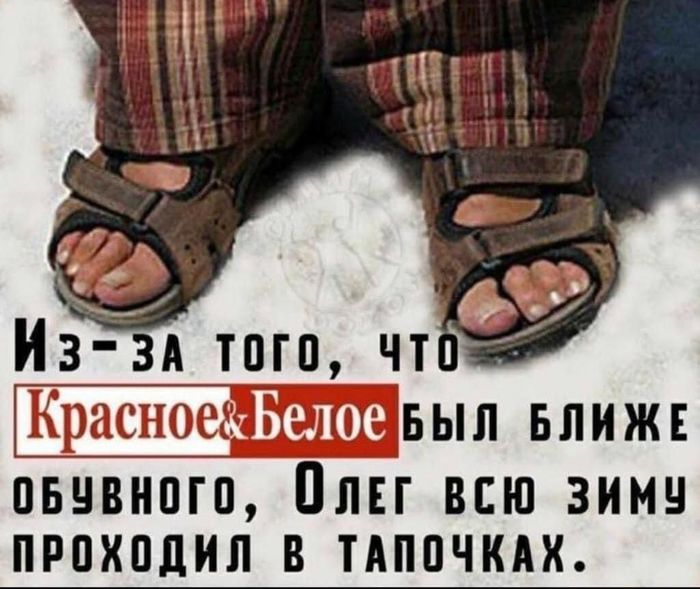 Автомобиль просекко киа просекко