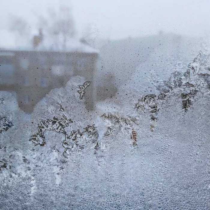 Frost, draws... - My, Novosibirsk, freezing, Window, Photographer, Winter