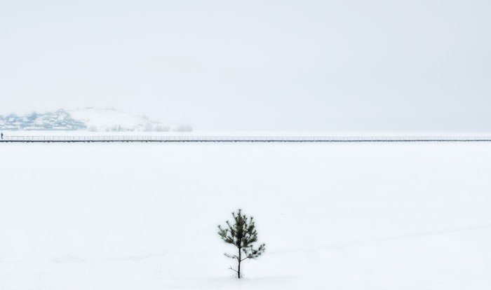 A little Christmas tree is cold in winter - My, Middle Ural, Winter, Pond, Bridge, Perspective, Snow, Minimalism, The photo, Beginning photographer