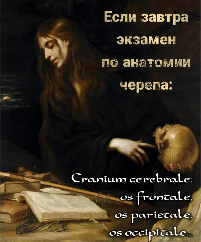 Anatomy exam... - Suffering middle ages, Strange humor, Memes, The medicine, Osteology, Bones, Scull, Terminology, Latin, Session, Students, Medics, Exam, Insomnia, Picture with text