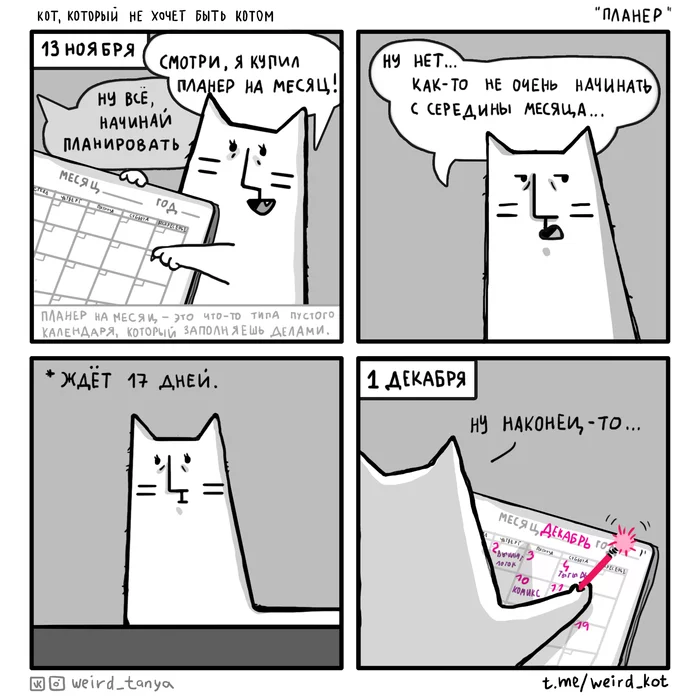 The Cat Who Doesn't Want to Be Cat #52 Glider - My, Weird_Tanya comics, Comics, Author's comic, cat, Humor, Web comic, Glider, Scheduling tasks