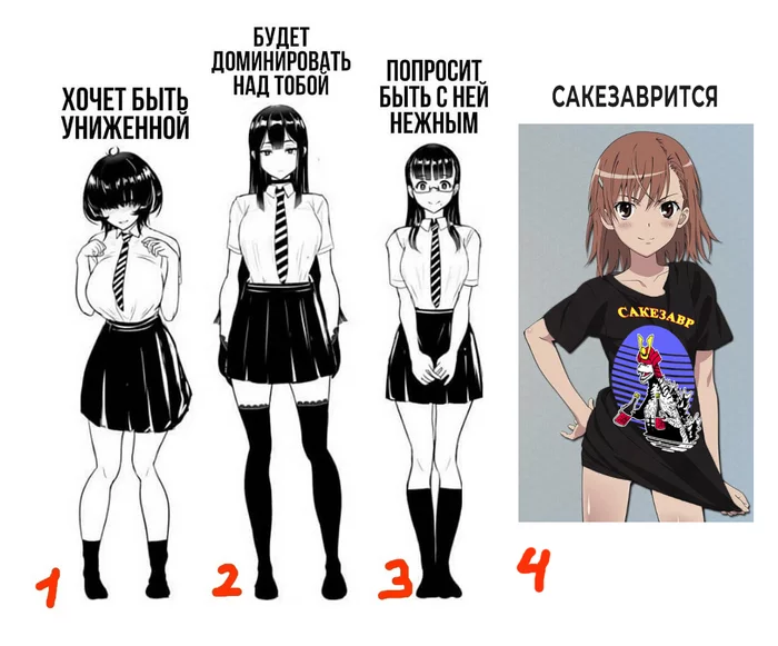 Sackesaurus - Anime, Girls, Humor, Memes, T-shirt, Sake