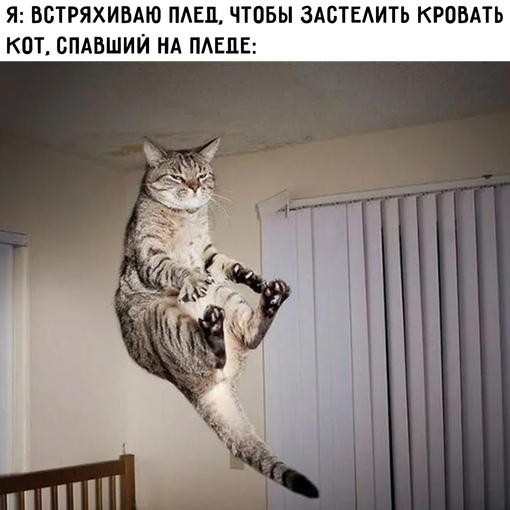 Что значит под пятую точку лет. Смотреть фото Что значит под пятую точку лет. Смотреть картинку Что значит под пятую точку лет. Картинка про Что значит под пятую точку лет. Фото Что значит под пятую точку лет