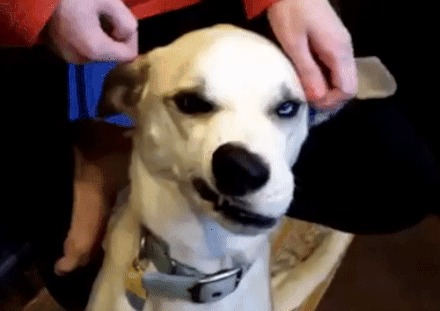      , , , 