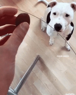      , , , 