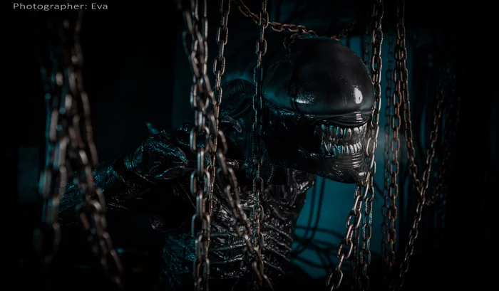 Косплей чужой Ксеноморф из фильма Alien Alien xenomorph cosplay - Моё, Alien: Isolation, Чужой, Косплей, Костюм, Фотография, Длиннопост