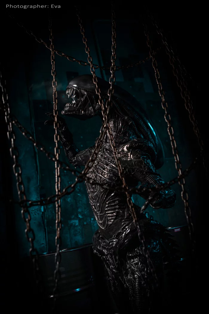 Косплей чужой Ксеноморф из фильма Alien Alien xenomorph cosplay - Моё, Alien: Isolation, Чужой, Косплей, Костюм, Фотография, Длиннопост