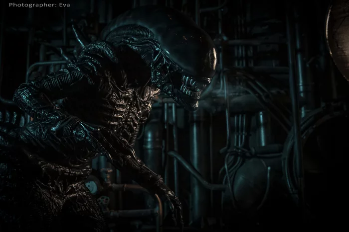 Косплей чужой Ксеноморф из фильма Alien Alien xenomorph cosplay - Моё, Alien: Isolation, Чужой, Косплей, Костюм, Фотография, Длиннопост