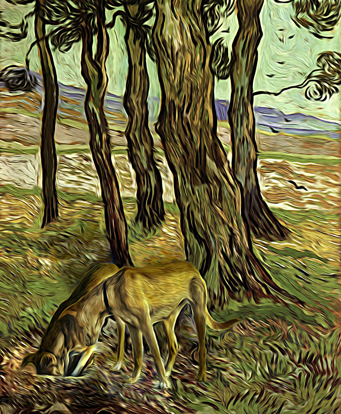 ��� �������� ����� ��������