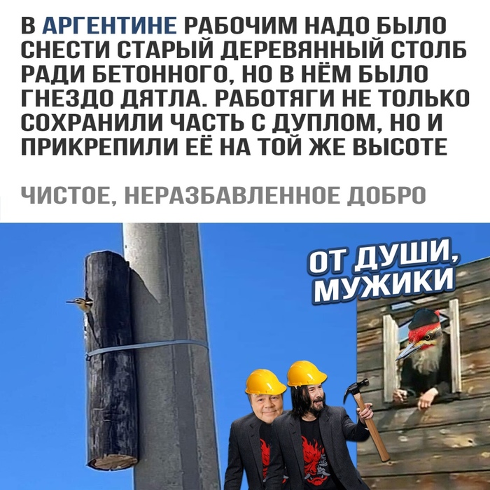 �� �����, � �������!