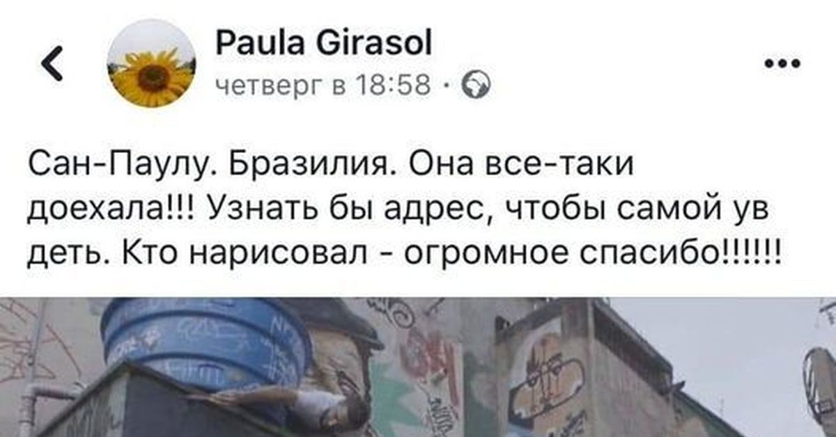 Пикабу бразилия. Пикабу бразилия