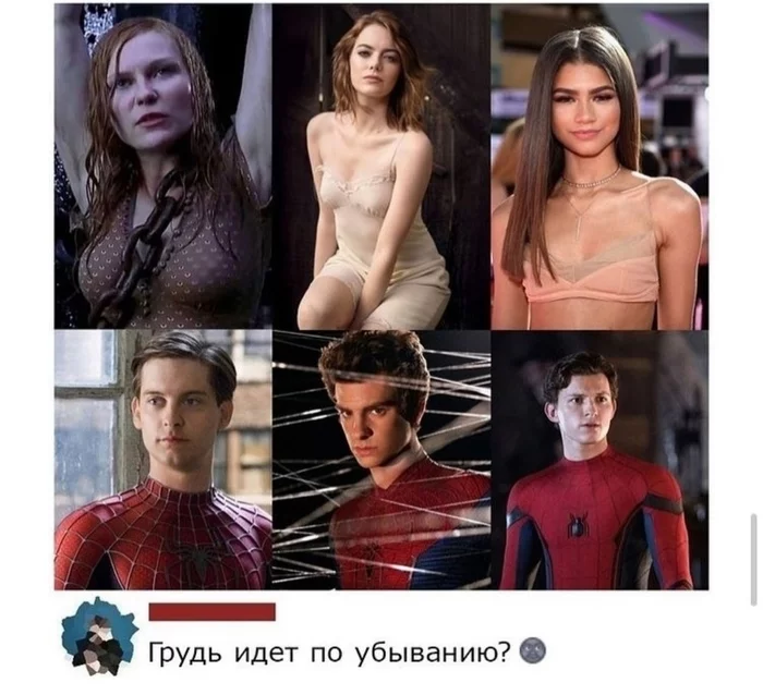 To each spider his own - Kirsten Dunst, Emma Stone, , Zendeya, Tom Holland, Andrew Garfield, Tobey Maguire, Screenshot, Picture with text, Spiderman