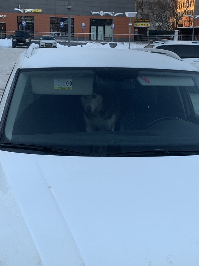 � ������ ������)