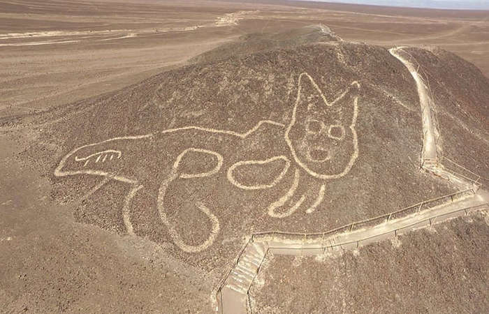 The Nazca plateau showed the most mysterious pattern. - cat, Nazca, Geoglyphs