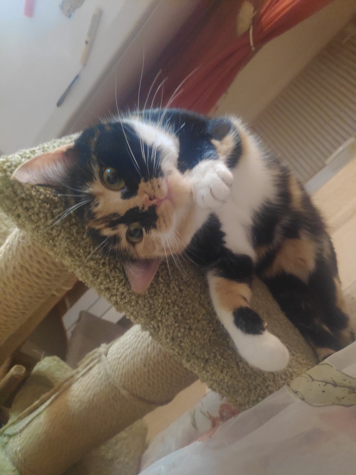 ������� ���� ����. 1 �����