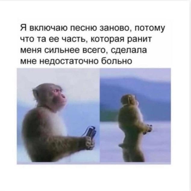 The main thing with a serious face - Humor, Picture with text, Monkey, Music