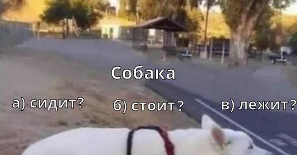 На столе лежит стоит сидит