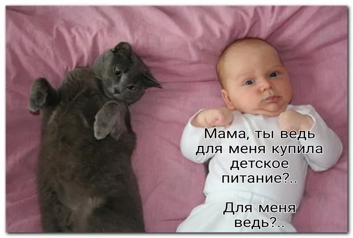 For whom is it? - My, Children, Children food, cat, I do not understand