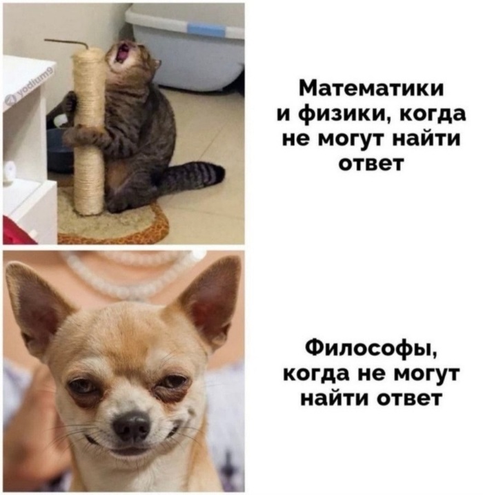 Так даже лучше мем трап. Смотреть фото Так даже лучше мем трап. Смотреть картинку Так даже лучше мем трап. Картинка про Так даже лучше мем трап. Фото Так даже лучше мем трап