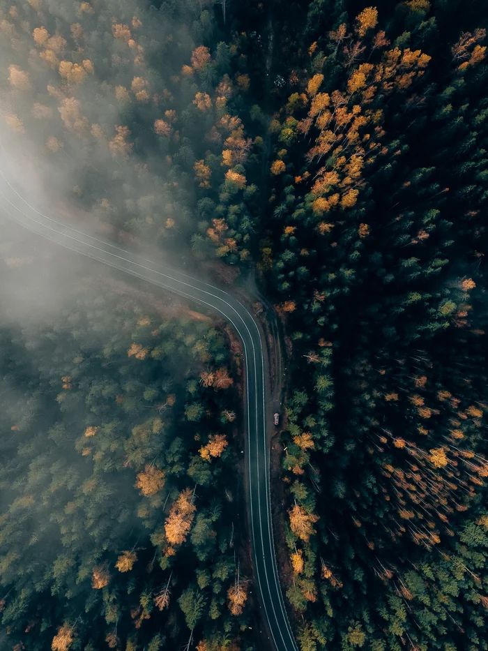 Autumn in the Leningrad region - My, Forest, Road, Lake, Aerial photography, Quadcopter, Leningrad region, Longpost