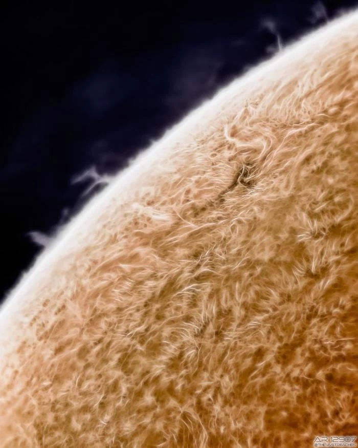 A picture of the Sun showing its curved surface - The sun, Space, Reddit, The photo