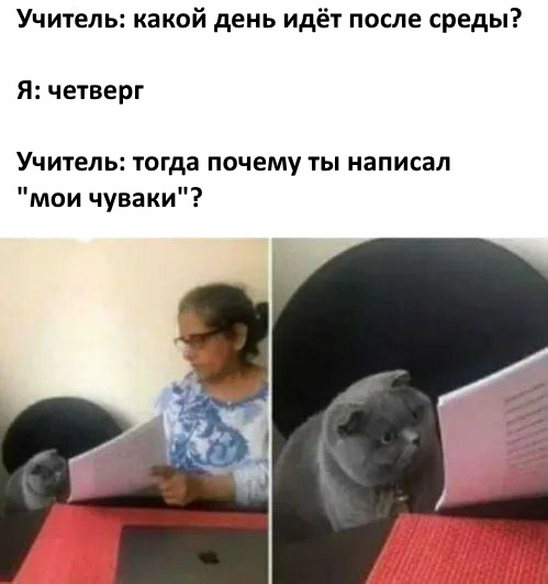 Сложный прикол про среду, мои чуваки - Dank Memes, Мемы, Среда, Кот, It Is Wednesday My Dudes