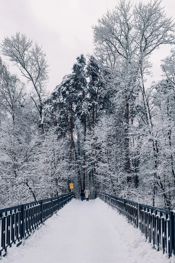 Winter's tale - My, The photo, Photo on sneaker, Winter, Snow, Serebryany Bor, Christmas trees, Nature, Longpost