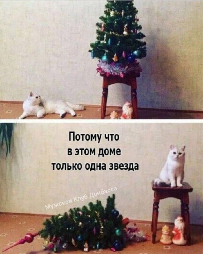 Новогодняя Елка 4 Года Новогодняя Елка 4 Года