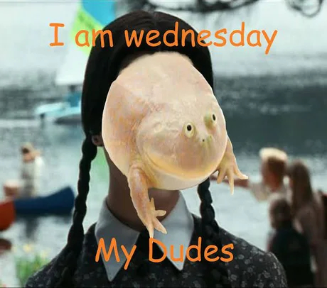 Az am... - Dank memes, Absurd, Wednesday, Frogs, Toad, Picture with text, It Is Wednesday My Dudes, Wensday Addams