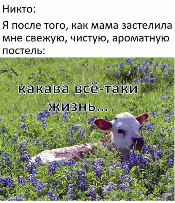   , , 